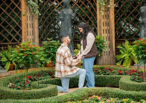 mobile - carousel-hero-element image-8